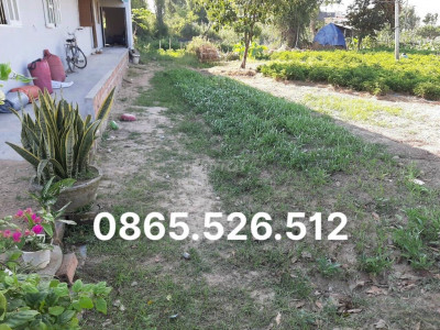 ĐẤT MỸ CAN PHƯỚC SƠN SỔ SẴN