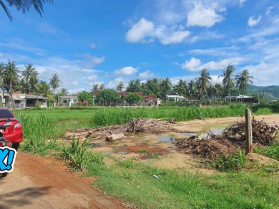 chính chủ Bán đất thôn Lương trung, xã Mỹ Chánh,