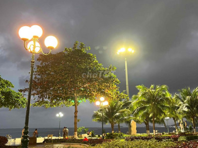 Cần bán nhanh nhà cấp 4 hẻm ô tô Hoàng Văn Thụ