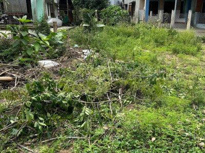 cần mua đất AN NHƠN