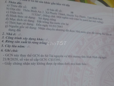 Bán đất chính chủ phước thành tuy phước