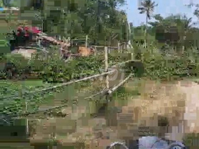 Bán lô đất 3 mặt tiền  Phù Mỹ giá 750 triệu