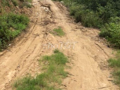 Cần bán 200000 m2 đất rừng sản xuất giá 2,5 tỉ