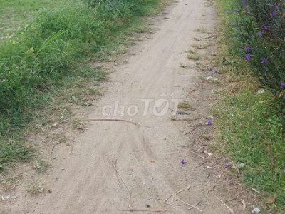 Bán lô đất diện tích 442 m2 giá 270 triệu