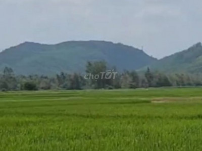 Bán đất Mỹ hiệp, Phù Mỹ, Bình Định