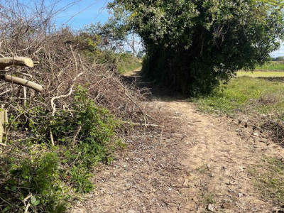 Cần tiền đầu tư lĩnh vực ăn uống bán nhanh