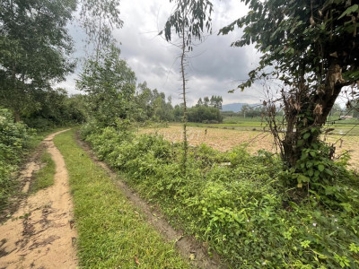 Cần bán nhanh đất nông nghiệp gần phú phong