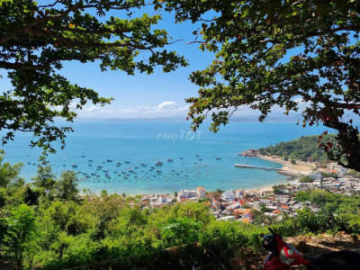 Đất Nền Đảo Cù Lao Xanh Quy Nhơn 232m2 đã có SỔ.