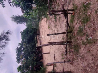 CẦN BÁN ĐẤT THỔ CƯ 130M2, 5X26, THỊ TRẤN CÁT TIẾN