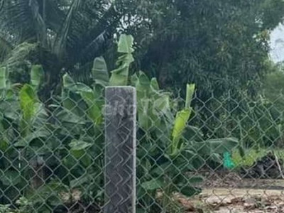 Bán lô đất toàn bộ thổ cư Cát Trinh giá 495 triệu