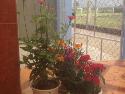 nhà 3 mặt tiền huyện Tây Sơn