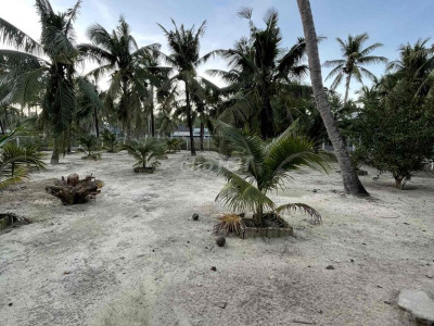 cần bán nguyên lô đất vuông vấp siêu đẹp