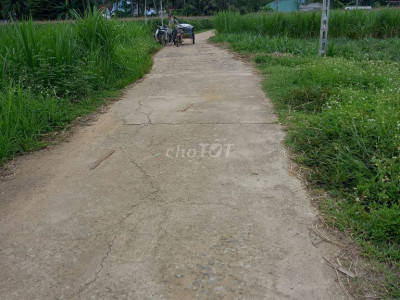 Cần bán lô đất nông nghiệp 1400m2 giá rẻ phường Hoài Xuân Hoài Nhơn