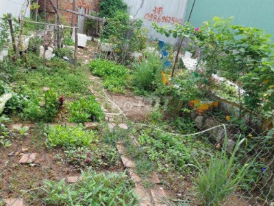 CẦN BÁN ĐẤT 41 M2- GIÁ RẺ NGAY TP. QUY NHƠN