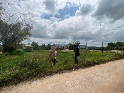 Đất Phù Mỹ cách QL 50m ngay cầu Bình Long /DT 196m2 Full Thổ