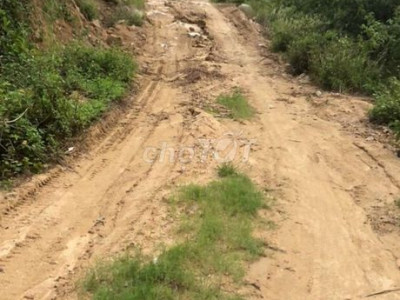 Bán 20 ha đất rừng có đường đi riêng xe khai thác gỗ  đến đất