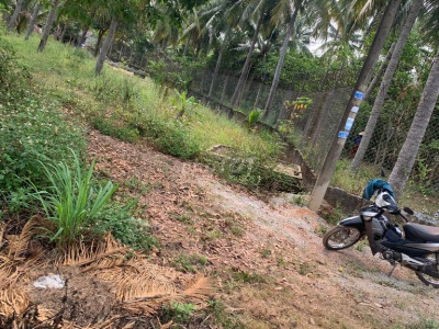 Đất vườn, 3142 mét Phường Hoài Thanh, thị xã Hoài Nhơn, Bình Định