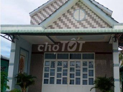 Cho thuê nhà nguyên căn đường Mai Dương Bồng Sơn Hoài Nhơn Bình Đinh