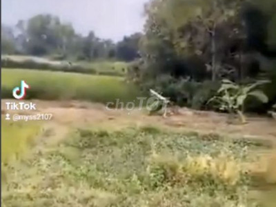 Chính chủ bán nhanh lô đất nông nghiệp giá cực rẻ bèo