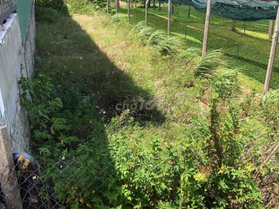 Đất thổ cư phước hưng