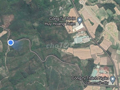 Bán 3.5 mẫu tràm giá chỉ 750 triệu Tây Sơn Bình định cách ubnd chỉ 2km