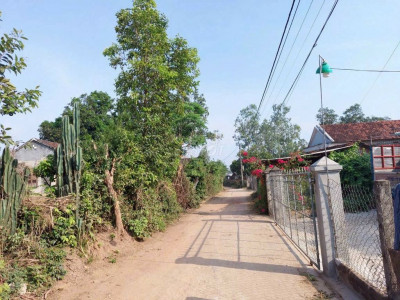 Chuyển công tác bán gấp lô Cát Tân Phù Cát 210m2. Cách Bưu điện 800m