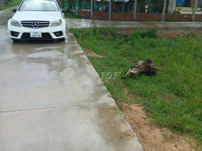 Lô Góc 2 mặt tiền! Diện tích 1427m2 có 200tc