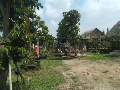 Cần bán đất ngay Mặt tiền Quốc Lộ 19 huyện Tây Sơn tỉnh Bình Định