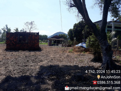 Bạn muốn xây một căn nhà mơ ước, có vườn, có hồ bơi....