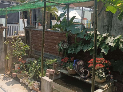 Nhà quê vườn rộng cho thuê dài hạn. Thích hợp hộ gia đình