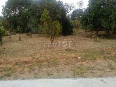 Tôi chính chủ cần bán lô đất 255m2 Trần Tôn Thất Hoài Xuân Hoài Nhơn