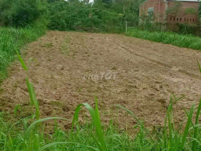 Bán đất full thổ cư 240m2(5m×48m) giá 720 triệu ở Tây Sơn, Bình Định