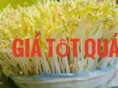 Bán đất ngay chợ xuân phong, an hòa, an lão