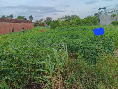 Bán đất thổ cư 240m2(5m×48m) giá 700 triệu đồng ở Tây Sơn, Bình Định