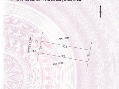 Đất Bình Định