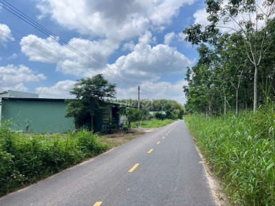 Cần bán để trả nợ ngân hàng