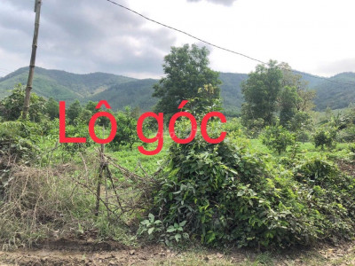 tháo lỗ nhanh lô góc 962m2 giá chỉ 260tr