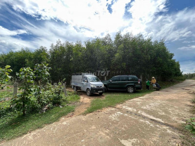 Bán Nhanh lô đất  phong thuỷ tốt, view núi