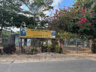 CHO THUÊ ĐẤT MẶT TIỀN cách chợ Cát Tiến 200m, gần Chùa ông núi