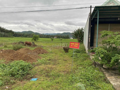 Hạ giá bán nhanh đất thổ cư 155m2, giá 970 triệu, tại Hoài Ân