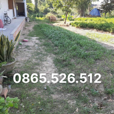 ĐẤT MỸ CAN PHƯỚC SƠN SỔ SẴN