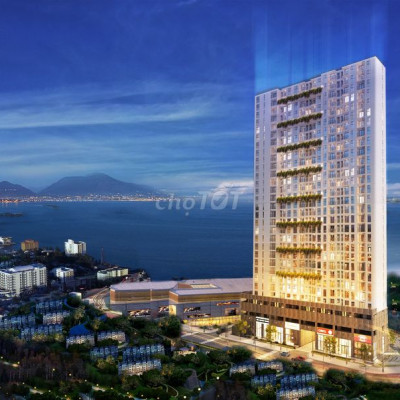 Ra Mắt Căn Hộ Sân Vườn TT Quy Nhơn, Cách Biển 800m