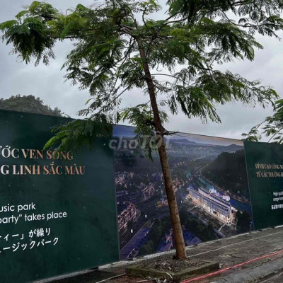 NHÀ PHỐ SHOPHOUSE RA MẮT ĐẦU TIÊN TẠI QUY NHƠN