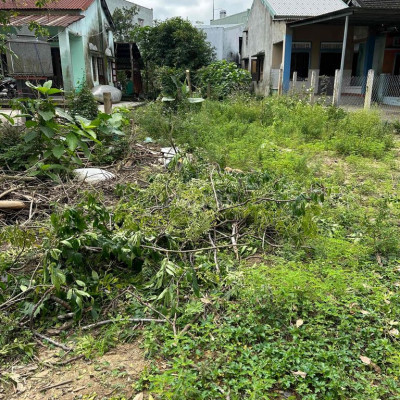 cần mua đất AN NHƠN