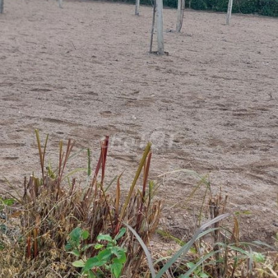 Bán lô đất Phước An  diện tích lớn 442m2 270 triệu