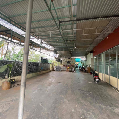 MB kinh doanh MT Đào Tấn