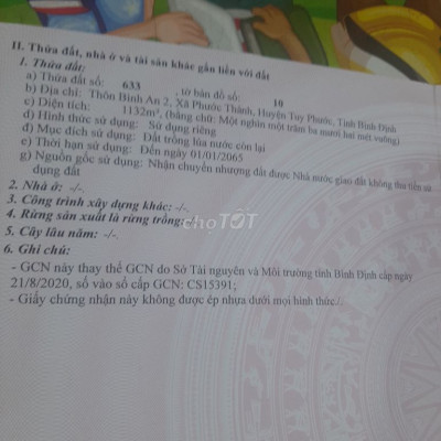 Bán đất chính chủ phước thành tuy phước