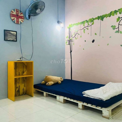 cho thuê mt Mai Hắc Đế