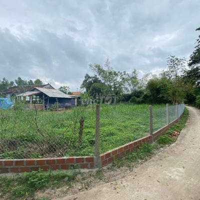 Bán Đất 432m2 có thổ 70m2 Bình Hòa, Tây Sơn, BĐ