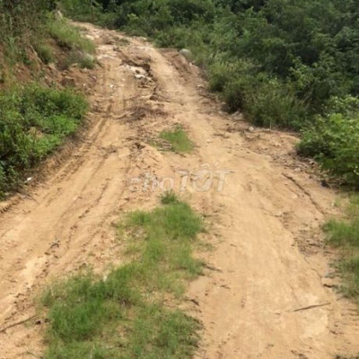 Cần bán 200000 m2 đất rừng sản xuất giá 2,5 tỉ